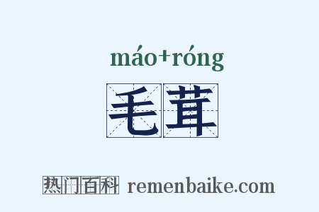 毛茸是什么意思的图片